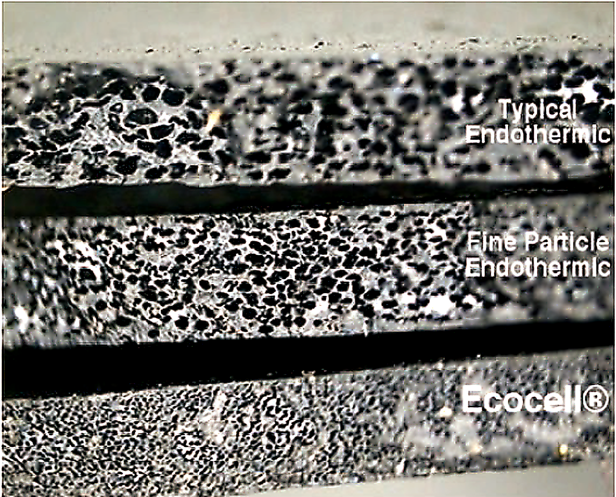 Ecocell_Web_Enhanced